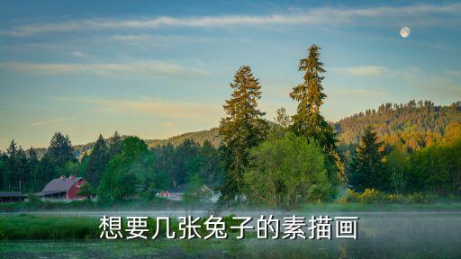 兔子素描，有個畫兔子的素描作品 很有名 是名家畫的 畫家叫什么名字