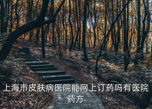 上海市皮膚病醫(yī)院購藥網址，上海皮膚專科醫(yī)院地址