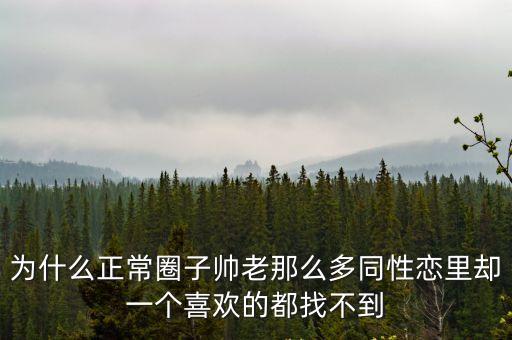 為什么正常圈子帥老那么多同性戀里卻一個喜歡的都找不到