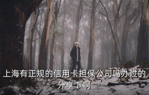 上海市國有擔保公司，上海哪些擔保公司可以辦理個人抵押貸款