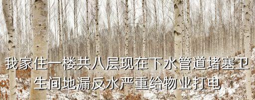 我家住一樓共八層現在下水管道堵塞衛生間地漏反水嚴重給物業打電