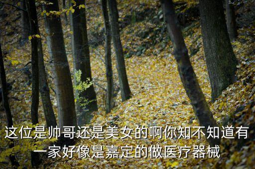 這位是帥哥還是美女的啊你知不知道有一家好像是嘉定的做醫療器械