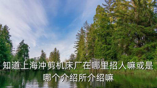 上海市納軒機械有限公司，我想開家150平米的超市 想節約成本 用彩鋼夾芯板做屋頂 行嗎 安全嗎