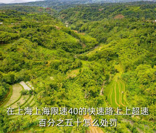 上海市四類限速不扣分，上海市區限速多少