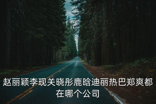 趙麗穎李現關曉彤鹿晗迪麗熱巴鄭爽都在哪個公司