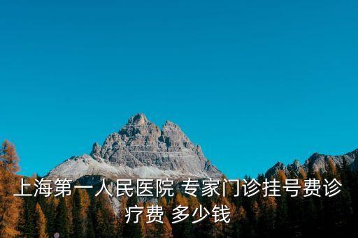 上海第一人民醫院 專家門診掛號費診療費 多少錢