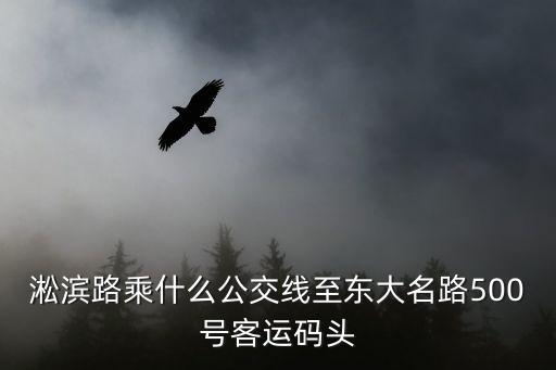 淞濱路乘什么公交線至東大名路500號客運碼頭