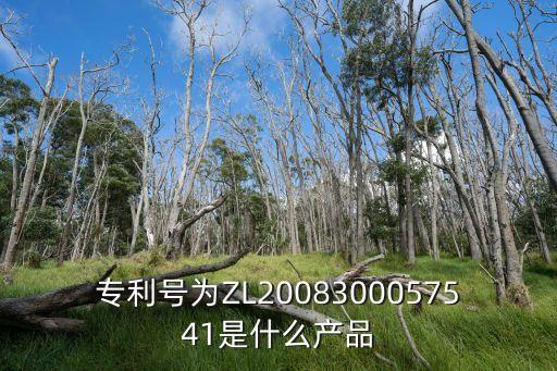 專利號為ZL2008300057541是什么產品