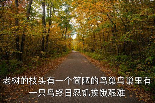 鳥窩里的樹，鳥窩里的樹問題鳥窩里為什么會長出小樹苗