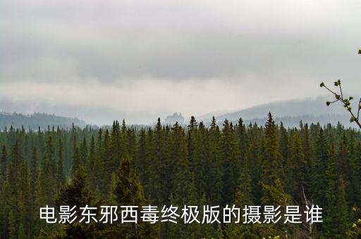電影東邪西毒終極版的攝影是誰