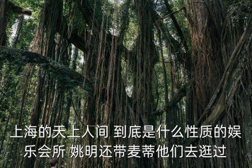 上海的天上人間 到底是什么性質的娛樂會所 姚明還帶麥蒂他們去逛過