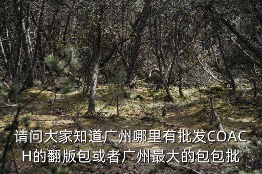 請問大家知道廣州哪里有批發COACH的翻版包或者廣州最大的包包批