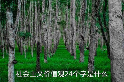 24字核心價值觀，如何倡導24字核心價值觀弘揚社會正能量