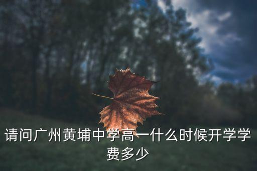廣州北師大附中黃埔高中部，在廣州北大附中高中如何