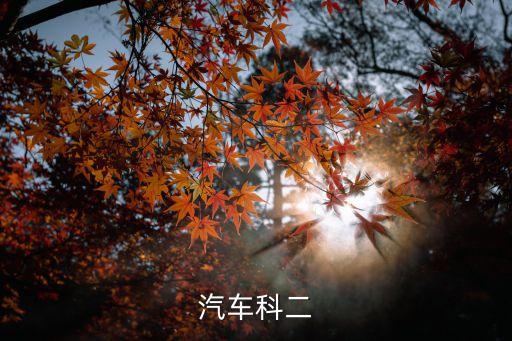 廣州交警直播平臺科目二，汽車科二