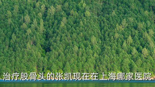 治療股骨頭的張凱現在在上海哪家醫院