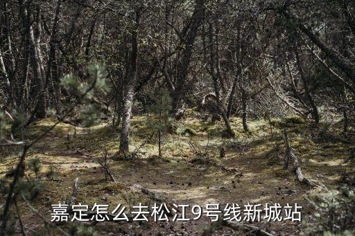 上海市嘉定區德福路到松江怎么坐車，從嘉定怎么去松江的狐貍城