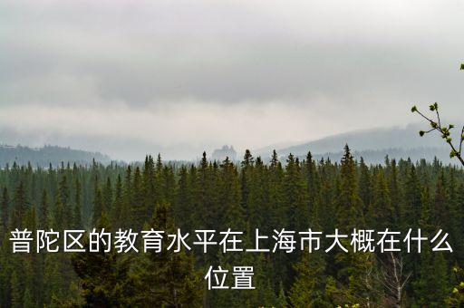 普陀區的教育水平在上海市大概在什么位置