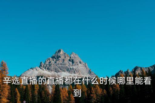 辛選直播的直播都在什么時候哪里能看到