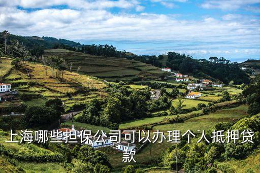 上海哪些擔保公司可以辦理個人抵押貸款