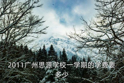 廣州思源學校2020年學費多少，思源it學院學費多少