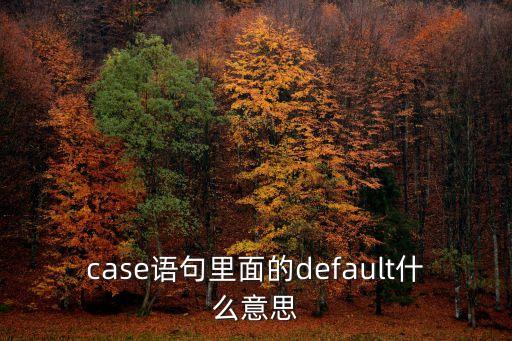 default是什么意思，default是什么意思