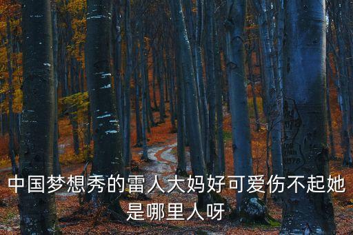 中國夢想秀的雷人大媽好可愛傷不起她是哪里人呀