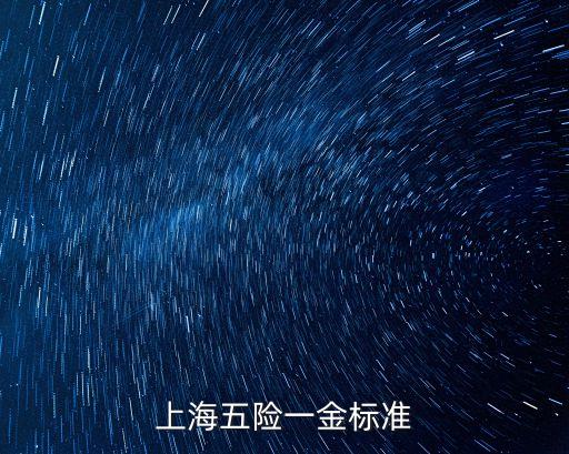 上海市五險一金一般標準，漲知識在上海交五險一金繳多少