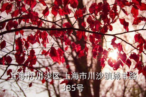 上海市 川沙區 上海市川沙鎮城豐路385號