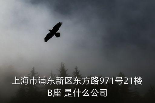 上海市浦東新區東方路971號21樓B座 是什么公司