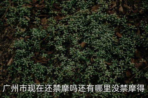 廣州香雪禁摩嗎，廣州市區禁摩托車嗎