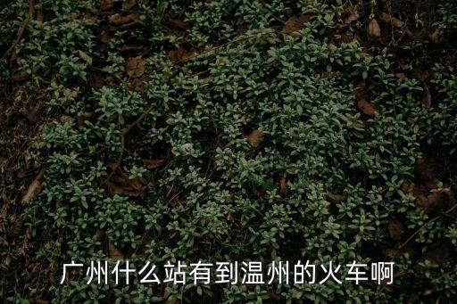廣州有沒有去溫州火車，從廣州到浙江溫州有哪些火車