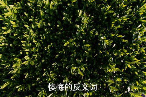 懊悔的反義詞