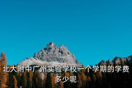 北大附中廣州實(shí)驗(yàn)學(xué)校一個(gè)學(xué)期的學(xué)費(fèi)多少呢