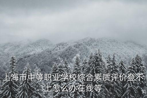 上海市中等職業學校綜合素質評價登不上怎么辦在線等