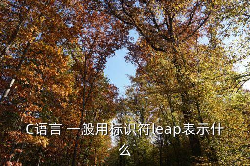 leap，C語言 一般用標識符leap表示什么