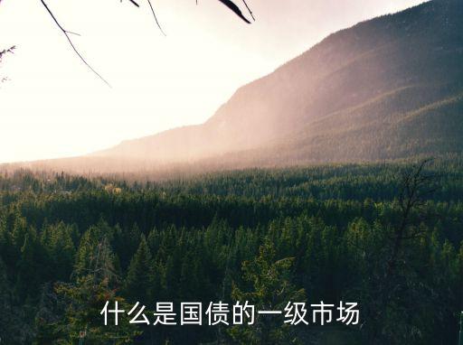 國債市場，如何改良我國國債流通市場