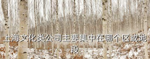 上海市四大文化產業布局，上海文化類公司主要集中在哪個區或地段