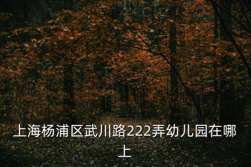 上海楊浦區(qū)武川路222弄幼兒園在哪上