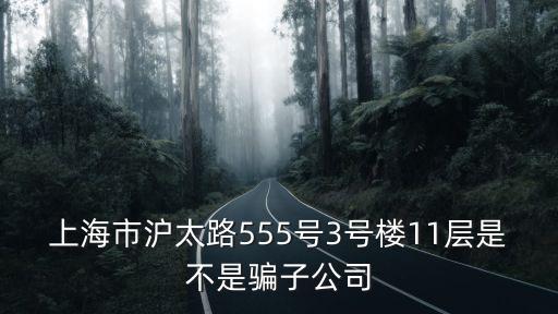 上海市壽陽路555號3號樓，上海市滬太路555號3號樓11層是不是騙子公司