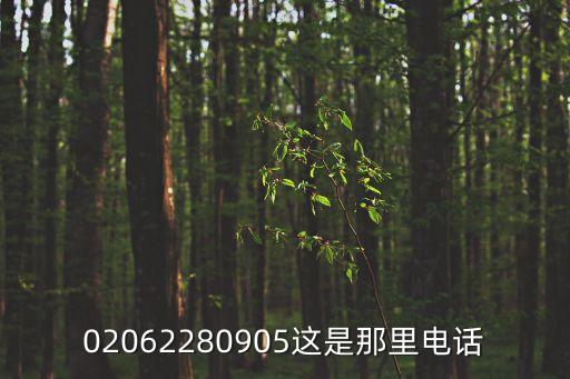 02062280905這是那里電話