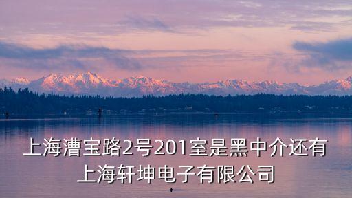 上海漕寶路2號201室是黑中介還有上海軒坤電子有限公司