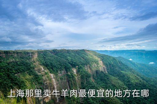 上海那里賣牛羊肉最便宜的地方在哪