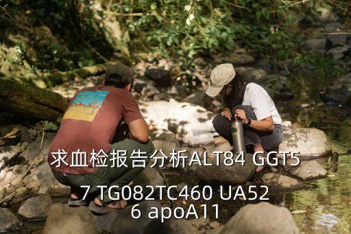 上海市安圖醫院驗血報告，求血檢報告分析ALT84 GGT57 TG082TC460 UA526 apoA11