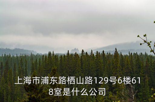 上海市浦東路棲山路129號6樓618室是什么公司