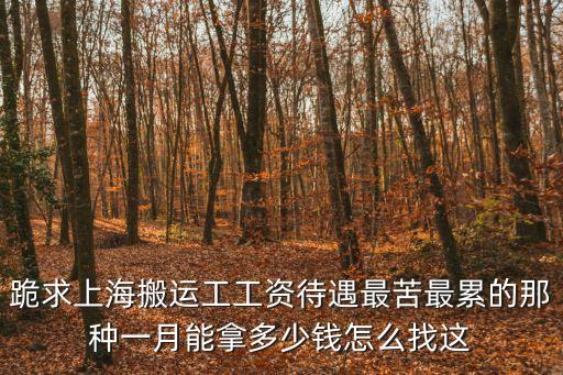 上海市垃圾清運工的辛苦，怎么個垃圾法很累嗎工作 找不到工作了 想去里面做臨時工