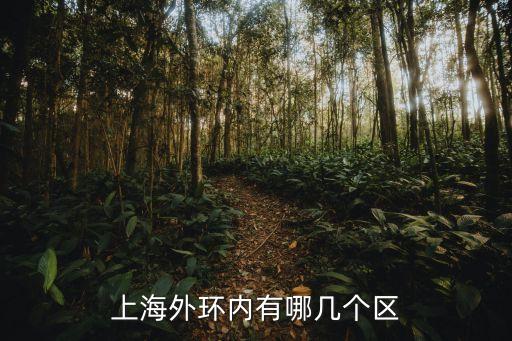 上海市區是幾環內，上海市區有幾條環路