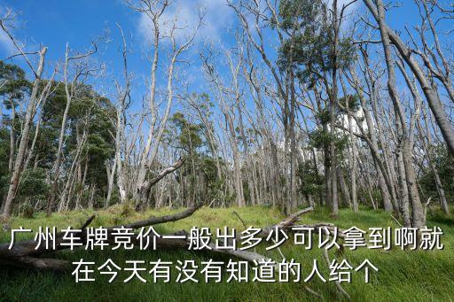 廣州車(chē)牌競(jìng)價(jià)一般出多少可以拿到啊就在今天有沒(méi)有知道的人給個(gè)