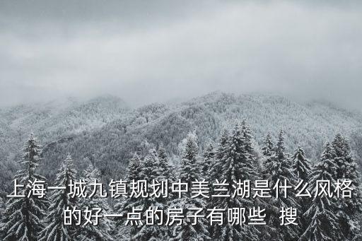 上海一城九鎮規劃中美蘭湖是什么風格的好一點的房子有哪些  搜