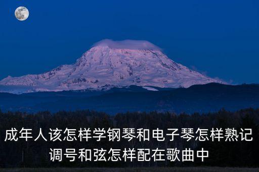 一路學，沒學陳氏老架一路直接練老架二路炮錘行嗎